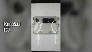 وحدة نقدية أوروبية P3103533