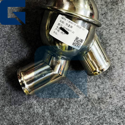 614060135 Left 80 Degrees Thermostat Assy for Truck